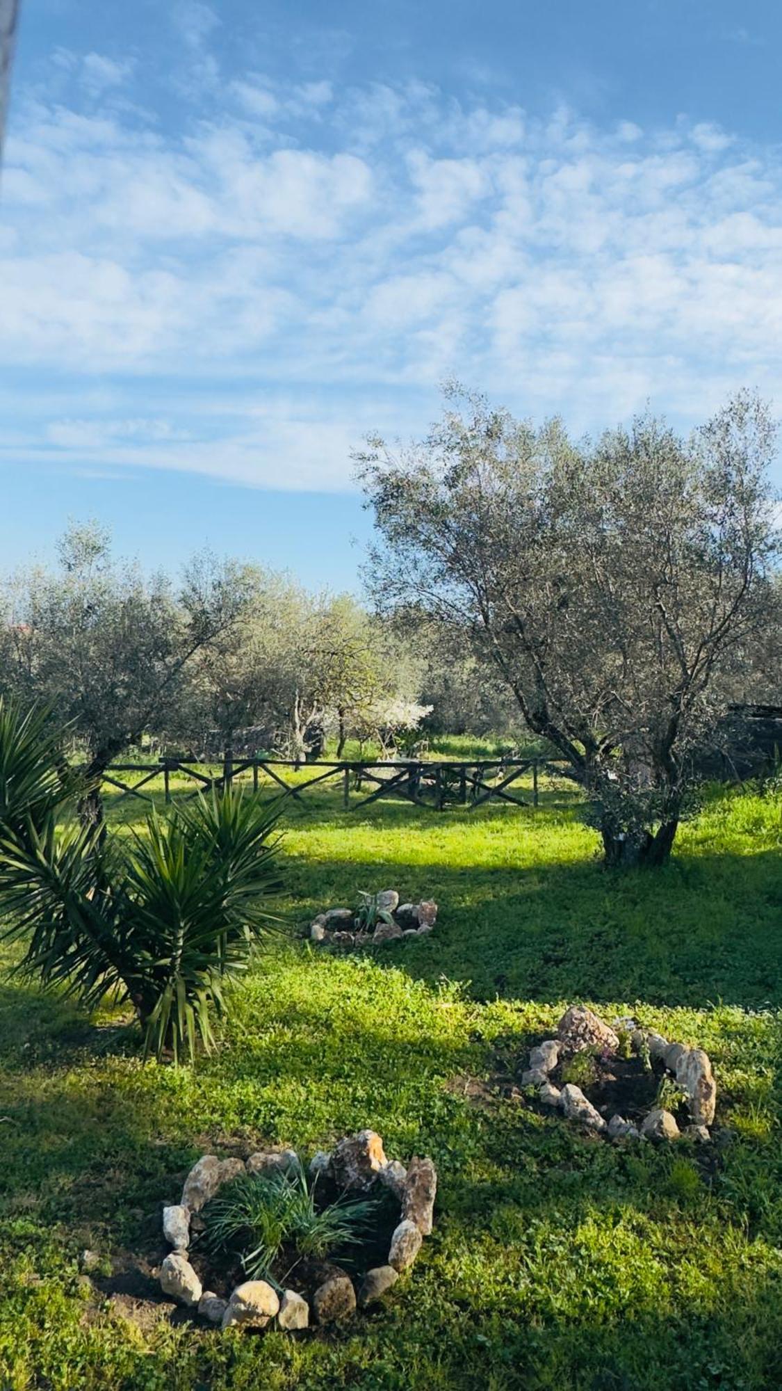 La Casa Del Grillo Villa Viterbo Exteriör bild
